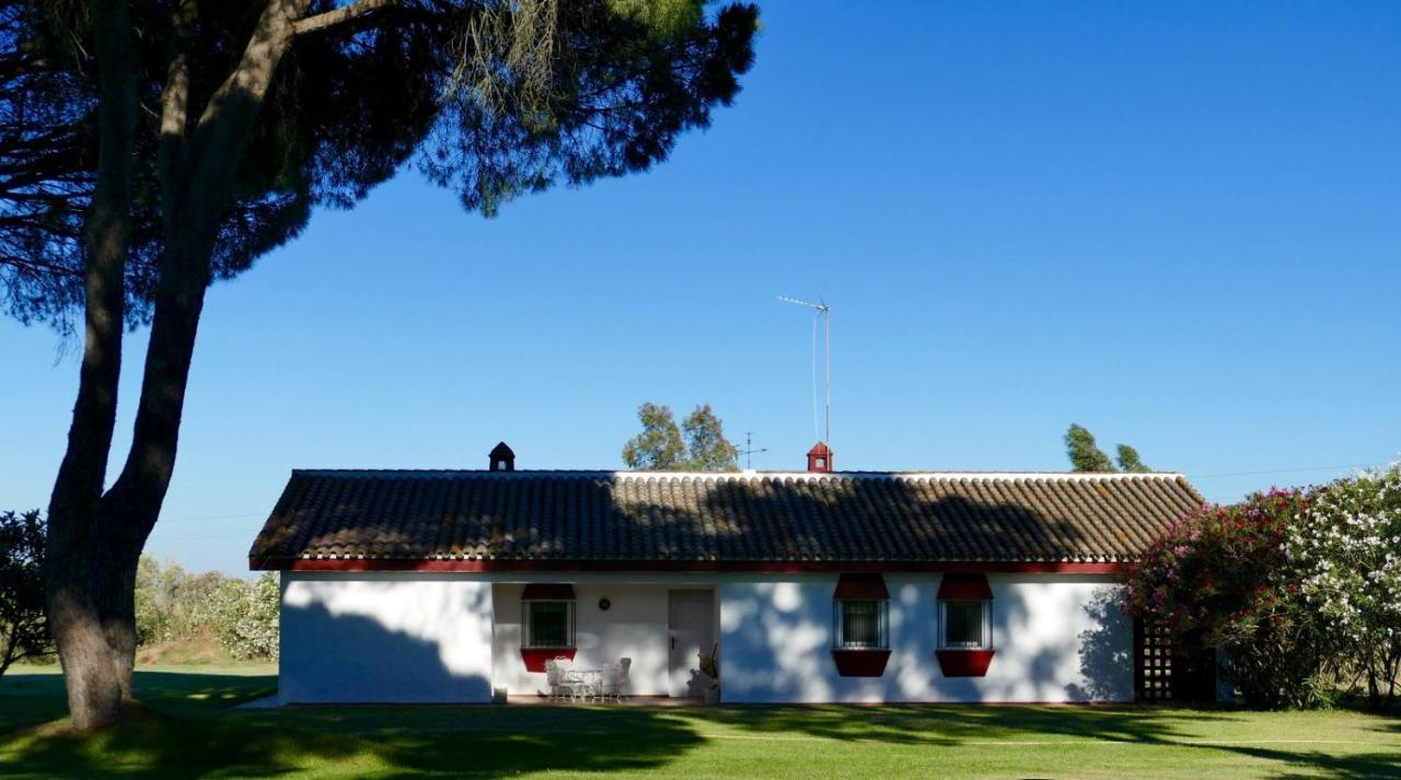 La Casita De Hato Pinos, Un Rincon En Donana Aznalcázar Exterior photo