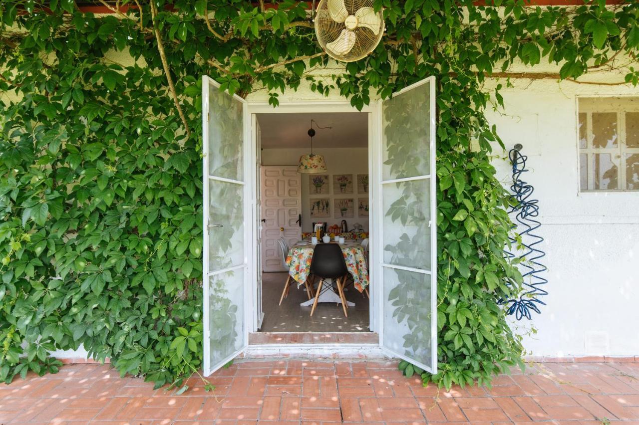 La Casita De Hato Pinos, Un Rincon En Donana Aznalcázar Exterior photo